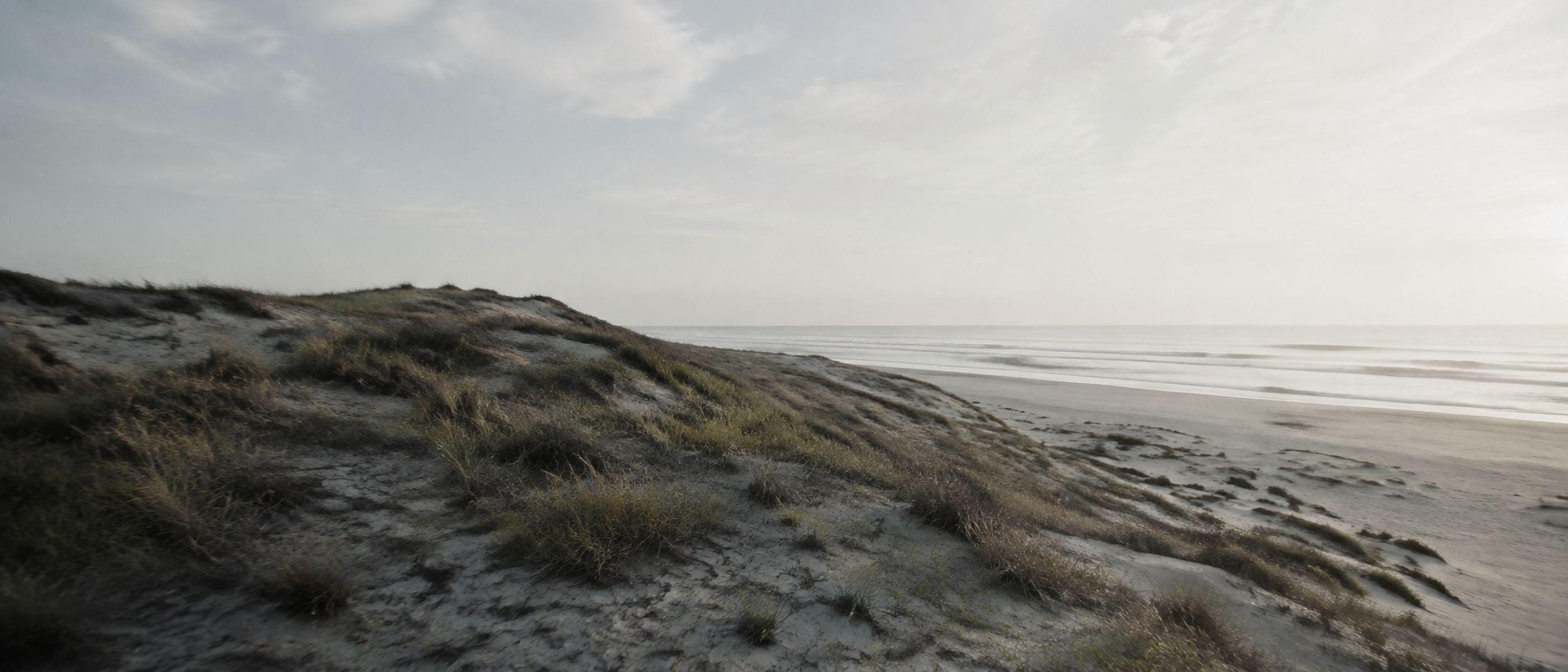 Dunas e horizonte atlântico na região de Aveiro. imagem editorial de marca Puro Terraço.